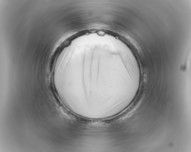 X0000093561117200711121008