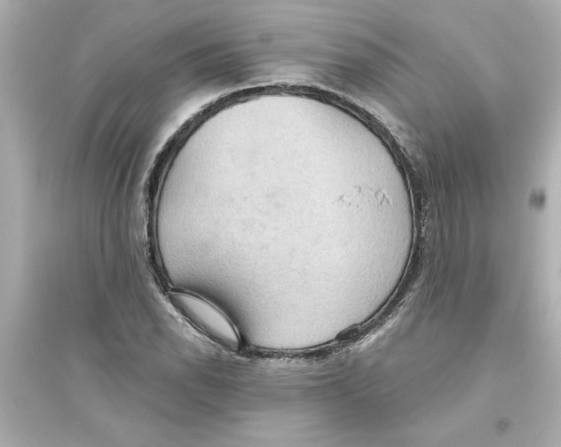X0000093561118200711121008