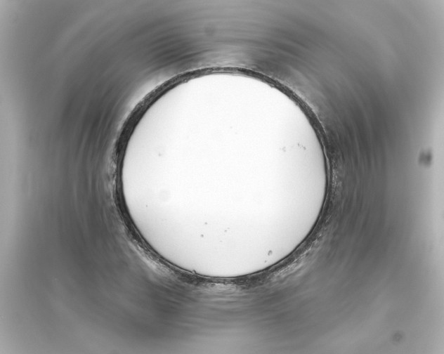 X0000093561119200711121008