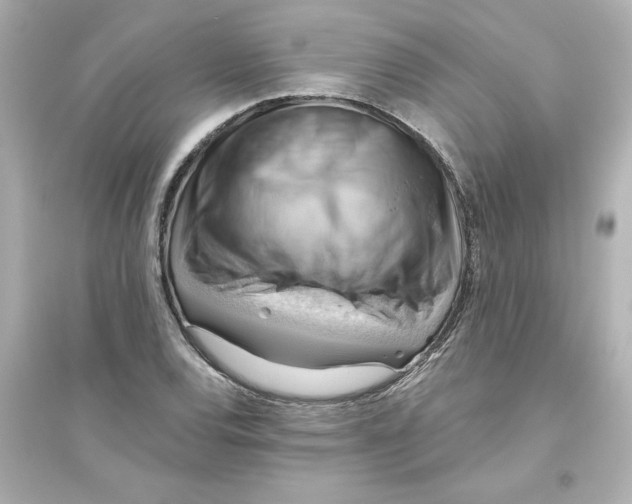 X0000093561120200711121008