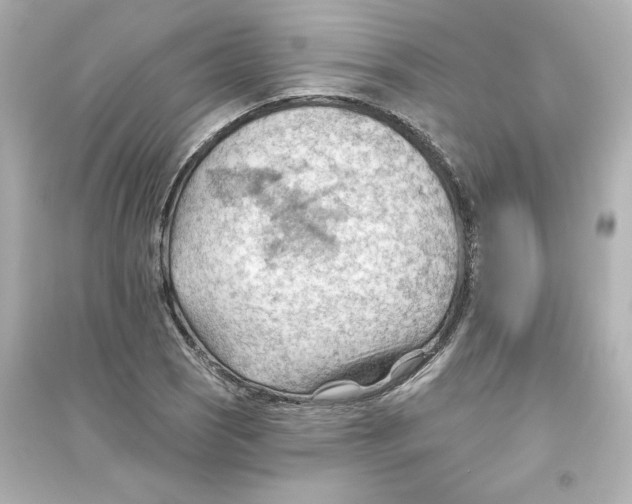 X0000093561121200711121008
