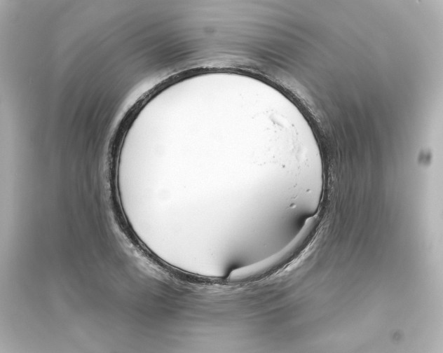 X0000093561122200711121008