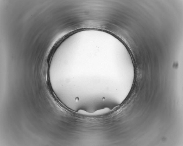 X0000093561123200711121008