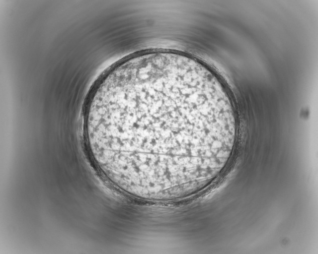 X0000093561125200711121008