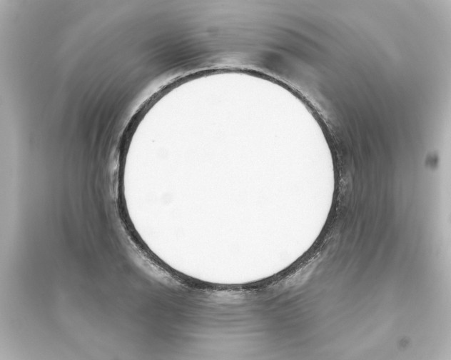 X0000093561126200711121008