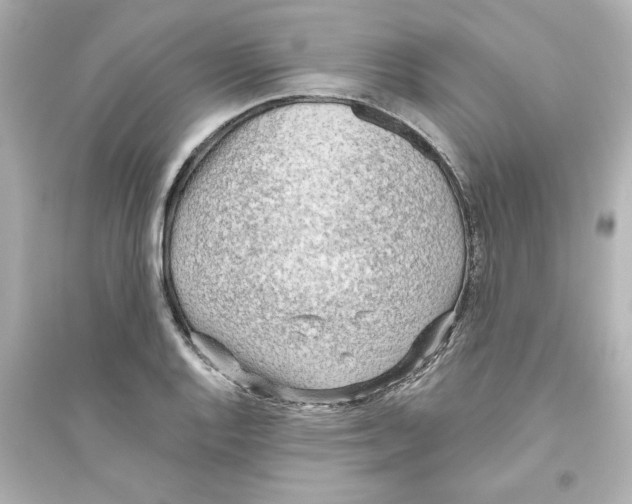 X0000093561128200711121008