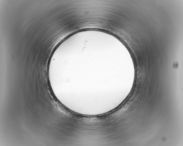 X0000093561129200711121008