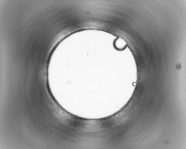 X0000093561130200711121008