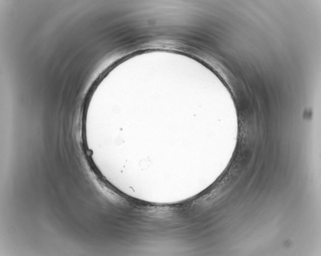 X0000093561131200711121008