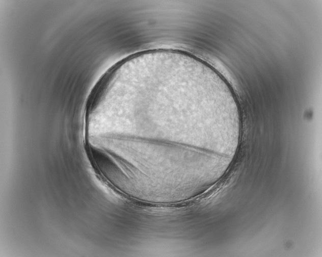 X0000093561132200711121008