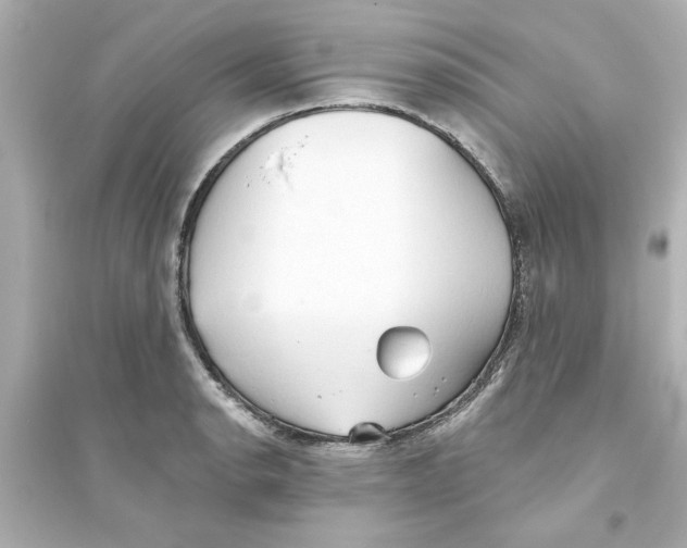 X0000093561134200711121008