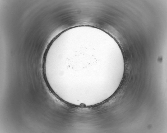 X0000093561135200711121008