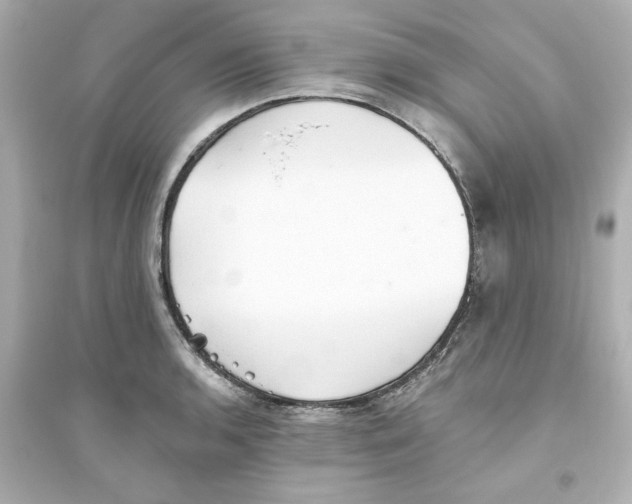 X0000093561136200711121008