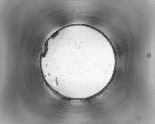 X0000093561137200711121008