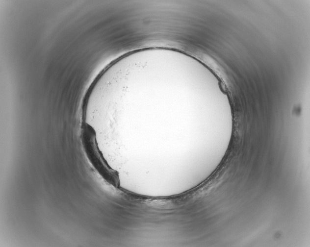 X0000093561140200711121008