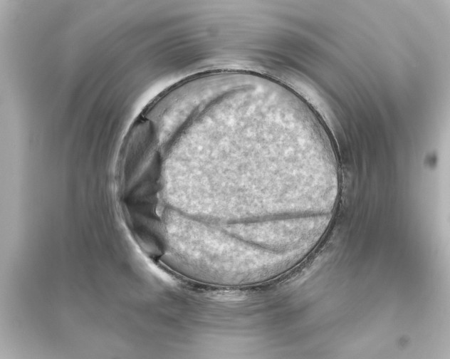 X0000093561141200711121008