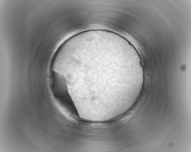 X0000093561142200711121008