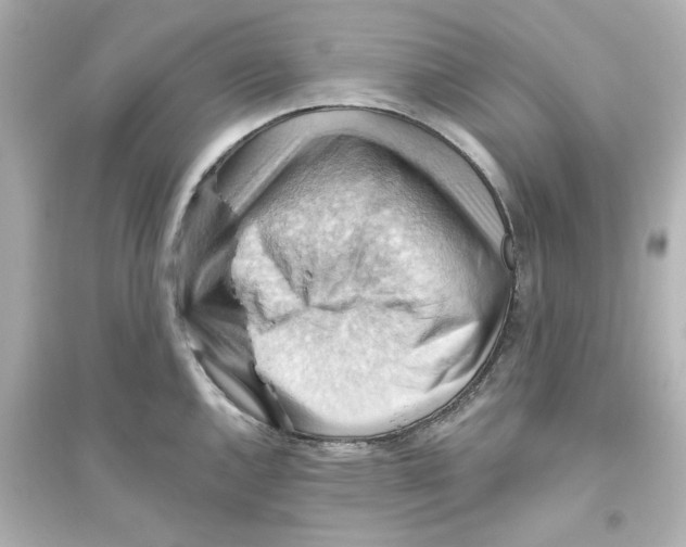 X0000093561144200711121008