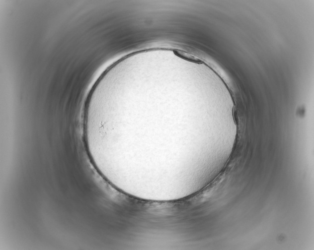 X0000093561148200711121008