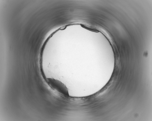 X0000093561149200711121008
