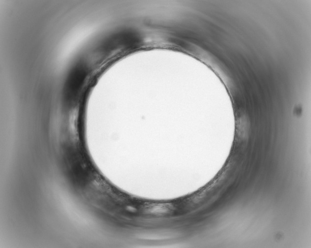 X0000093561150200711121008