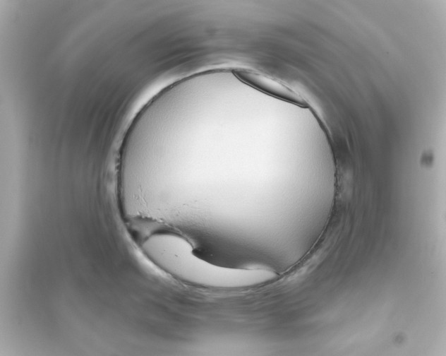 X0000093561151200711121008