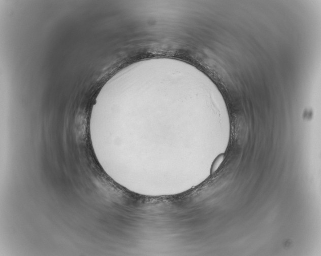 X0000093561154200711121008