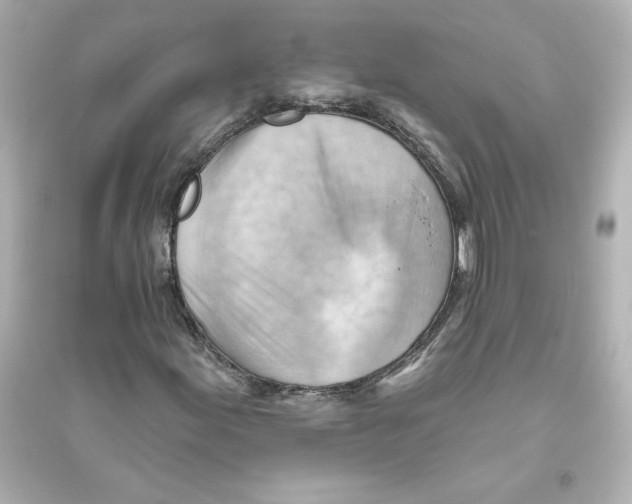 X0000093561155200711121008