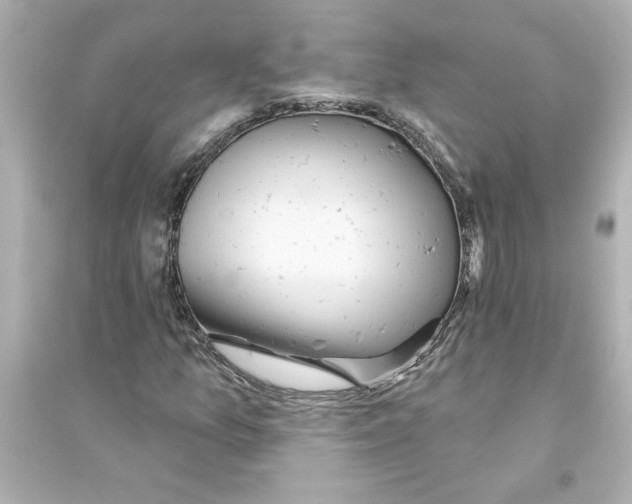 X0000093561157200711121008