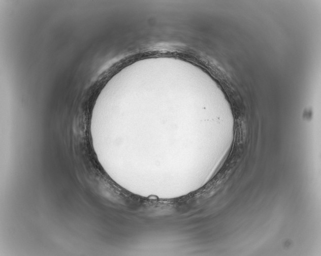 X0000093561158200711121008