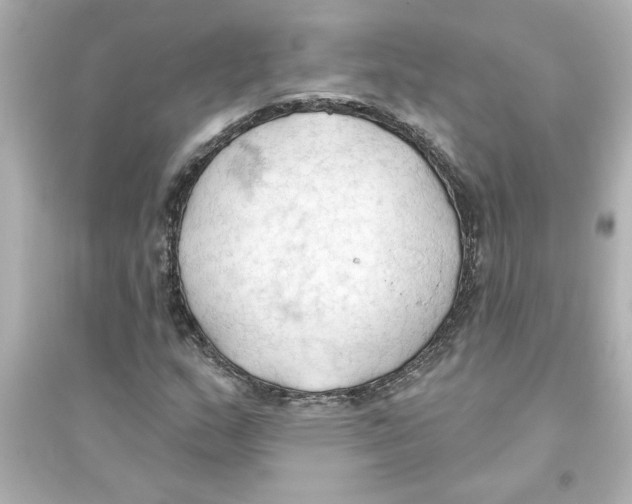 X0000093561159200711121008