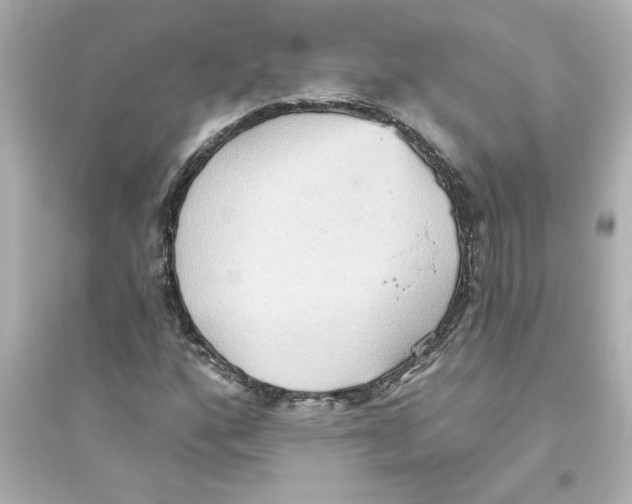 X0000093561160200711121008
