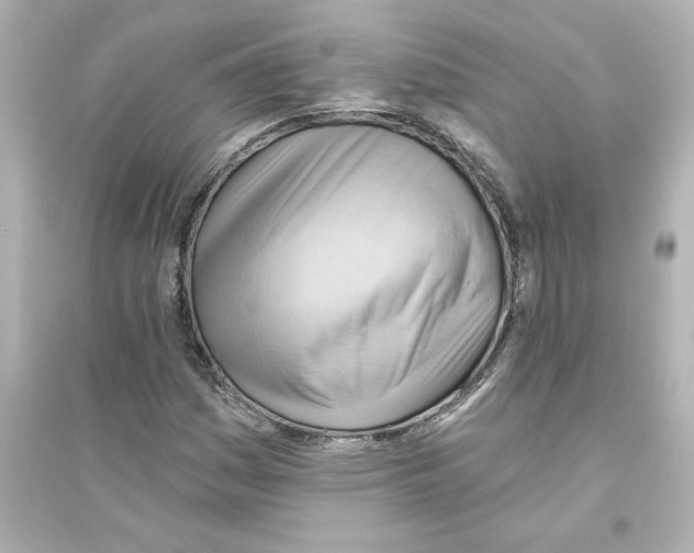 X0000093561161200711121008