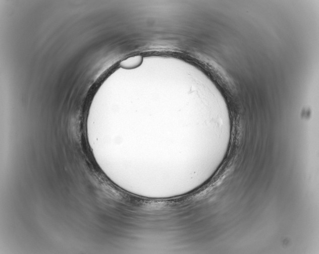 X0000093561162200711121007