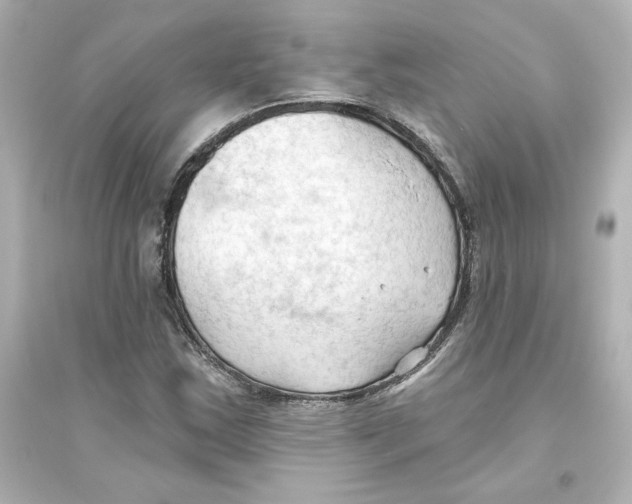 X0000093561163200711121007
