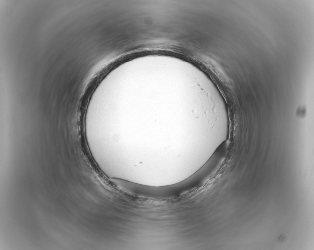 X0000093561164200711121007