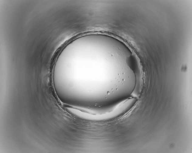 X0000093561165200711121007