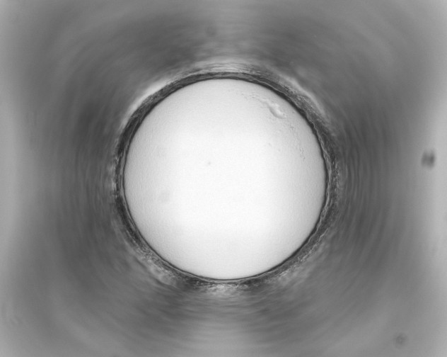 X0000093561166200711121007