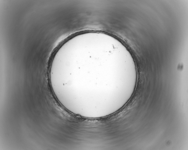 X0000093561168200711121007