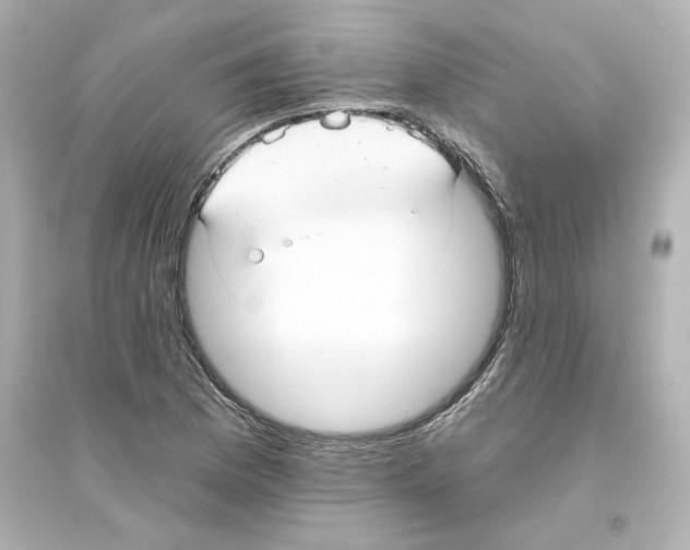 X0000093561169200711121007