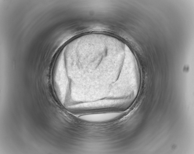 X0000093561170200711121007