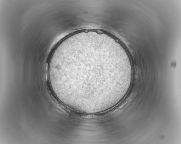 X0000093561171200711121007