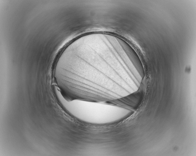 X0000093561173200711121007