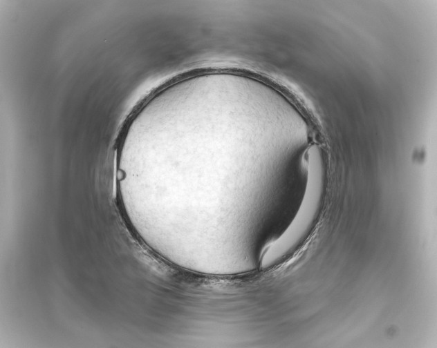 X0000093561175200711121007