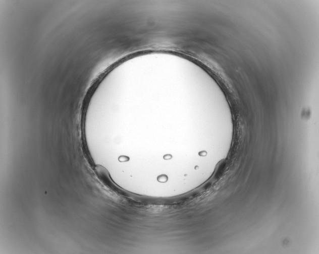 X0000093561176200711121007