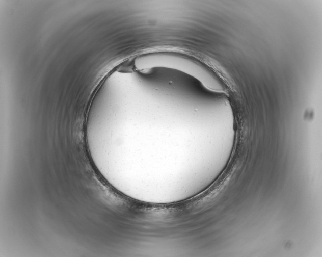 X0000093561177200711121007