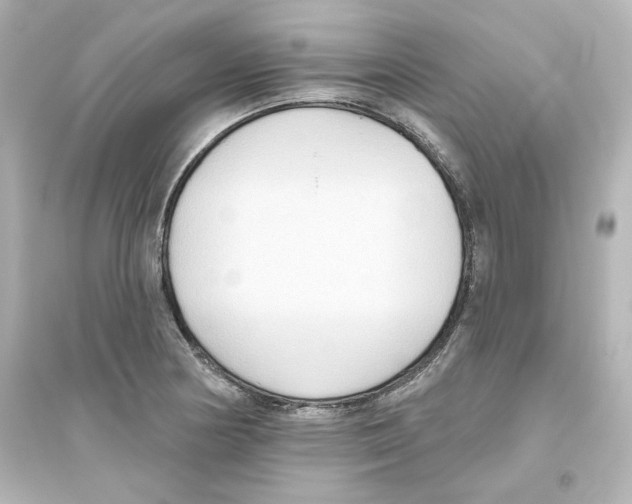 X0000093561178200711121007