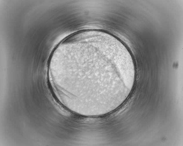 X0000093561179200711121007