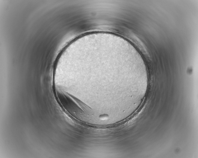 X0000093561180200711121007