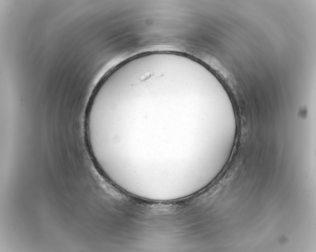 X0000093561181200711121007